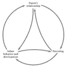 图3 家庭社会系统模型